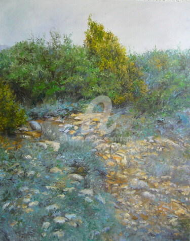 Картина под названием "Sierra de El Perdón…" - Cristina Del Rosso, Подлинное произведение искусства, Масло