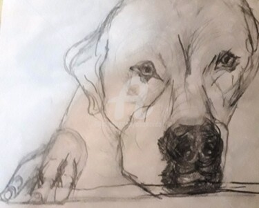 Drawing titled "la-mirada-de-mi-dog…" by Cristina Vidal, Original Artwork