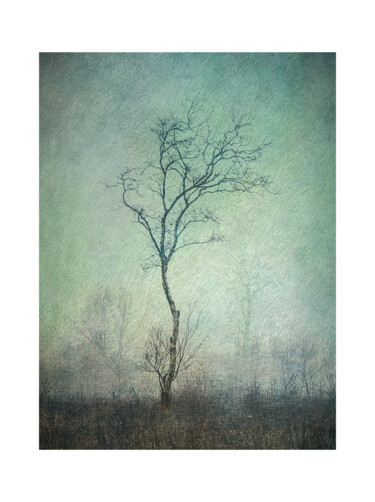 Digitale Kunst getiteld "Lonely Tree" door Csaba Deak, Origineel Kunstwerk, 2D Digital Work