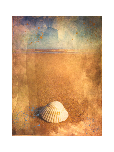 Digitale Kunst mit dem Titel "Shell" von Csaba Deak, Original-Kunstwerk, 2D digitale Arbeit