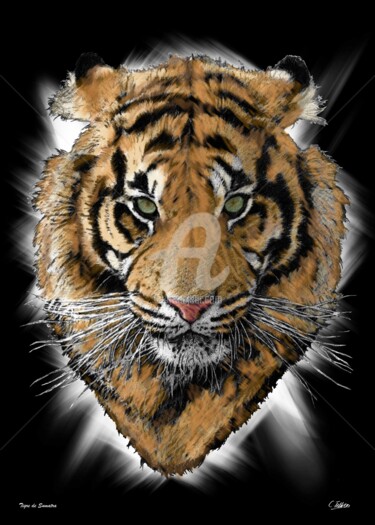 Artcraft titled "Tigre de Sumatra" by Christophe Tellier, Original Artwork, Other