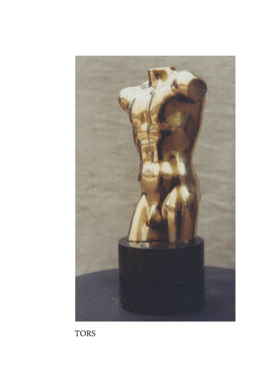 Sculpture intitulée "Torso" par Mihai Ecobici, Œuvre d'art originale, Bronze