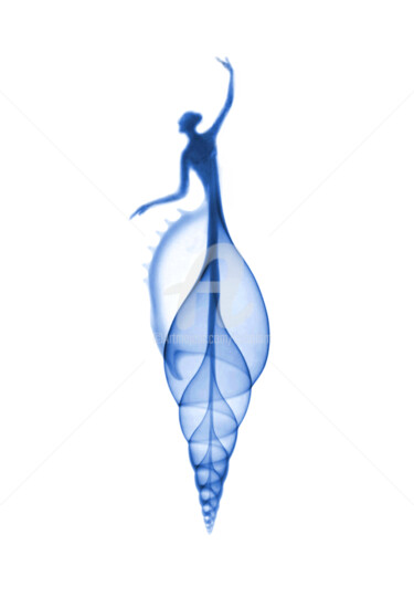 Digital Arts titled "Shell Woman Blue" by Cuboism Art Design Kuboizumuatodezain, Original Artwork, Photo Montage