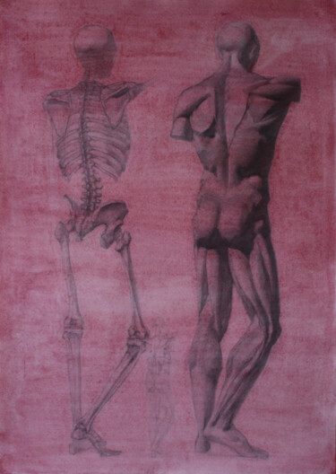 Painting titled "Skeleton and ecorche" by Curlydafna, Original Artwork, Pencil