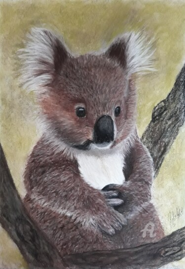 Painting titled "Help the koalas" by Cybele Chaves, Original Artwork, Pastel