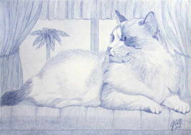 Painting titled "Blue cat - Gato azul" by Cybele Chaves, Original Artwork, Pencil
