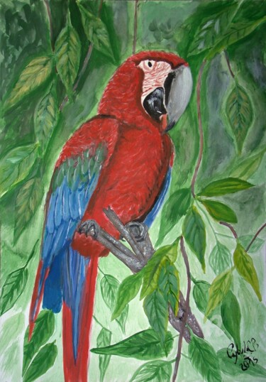 Peinture intitulée "Papagaio Vermelho" par Cybele Chaves, Œuvre d'art originale, Encre