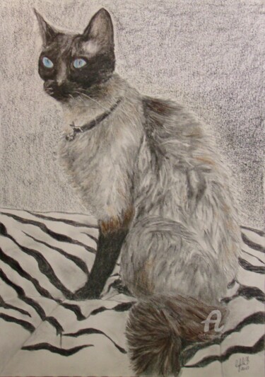 Painting titled "Gata Siamesa - Siam…" by Cybele Chaves, Original Artwork, Pastel
