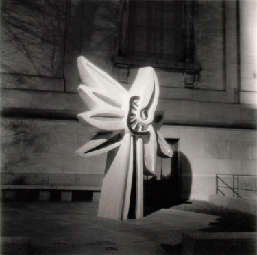 Le Grand Tournesol de Fernand Léger Photographie intitulée "Le Grand Tournesol…" par Ronald Stewart, Œuvre d'art originale