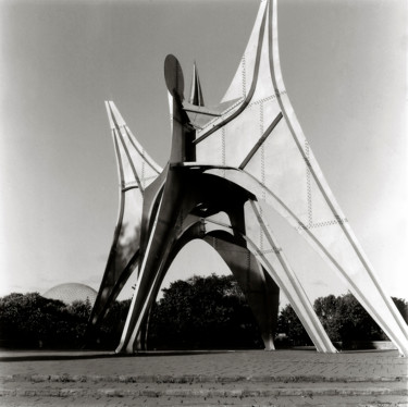"L'Homme", d'Alexandre Calder Photographie intitulée ""L'Homme", d'Alexan…" par Ronald Stewart, Œuvre d'art originale