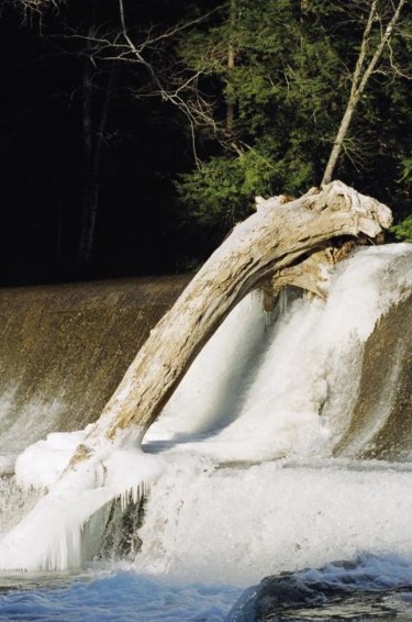 Photography titled "Log Over Dam" by Cynthia Brown Yackenchick, Original Artwork