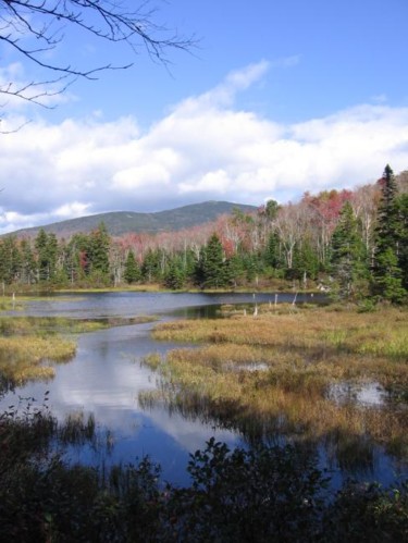 Photography titled "Beaver Pond" by Cynthia Brown Yackenchick, Original Artwork