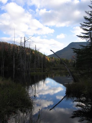 Photography titled "Where Beavers Swim" by Cynthia Brown Yackenchick, Original Artwork