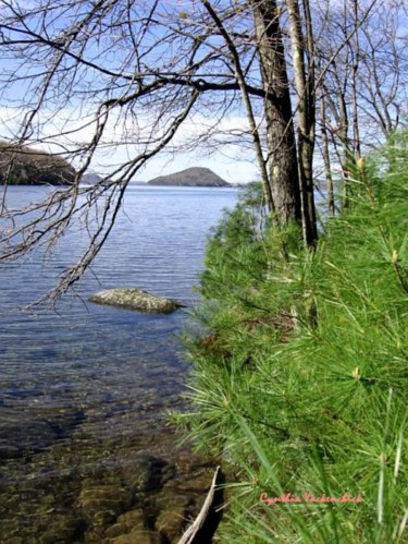 Photography titled "Quabbin View" by Cynthia Brown Yackenchick, Original Artwork