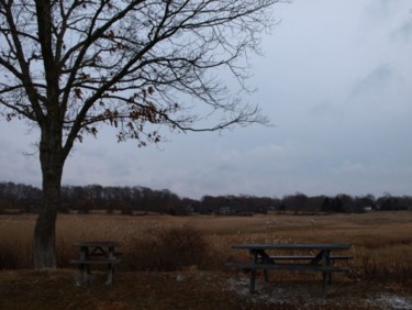 Photography titled "Picnic Table View" by Cynthia Brown Yackenchick, Original Artwork