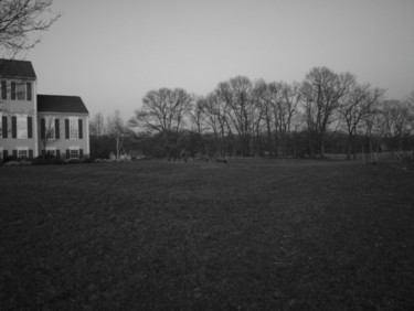 Photography titled "Deer in the Neighbo…" by Cynthia Brown Yackenchick, Original Artwork