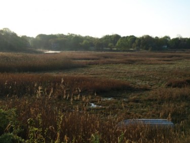 Photography titled "Morning at the Marsh" by Cynthia Brown Yackenchick, Original Artwork
