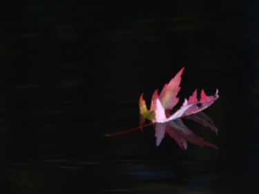 Photography titled "Sign Of Fall" by Cynthia Brown Yackenchick, Original Artwork