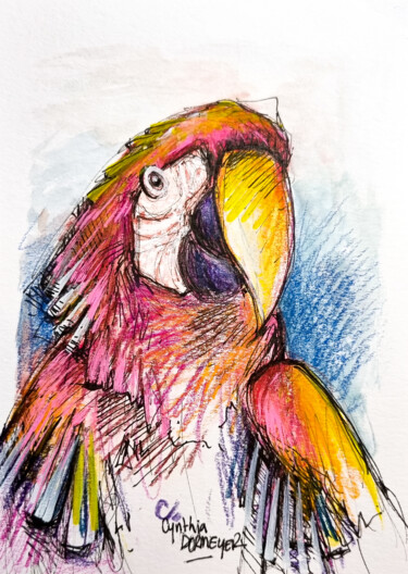 Disegno intitolato "Perroquet" da Cynthia Dormeyer, Opera d'arte originale, Acquarello