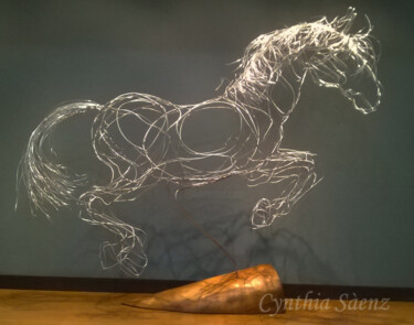 Sculpture intitulée "DOMARI NOLO" par Cynthia Saenz Sancho, Œuvre d'art originale, Fil de fer