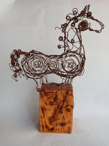 Sculpture titled "DORKAS" by Cynthia Saenz Sancho, Original Artwork, Wire