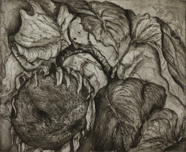 Estampas & grabados titulada "Wild Sunflower" por Cynthia Tudor, Obra de arte original, Aguafuerte