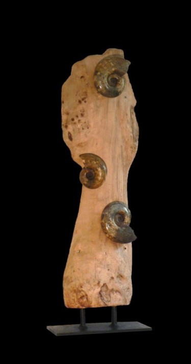 Sculpture titled "SHUCERAS" by Cyril Margouillat, Original Artwork, Wood