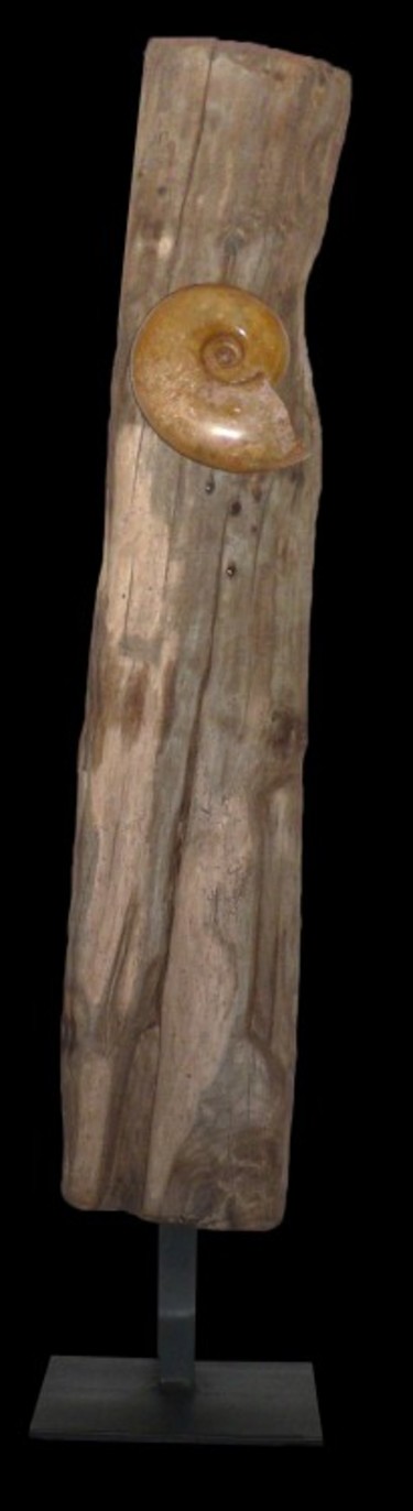 Sculpture titled "SHUWOOD" by Cyril Margouillat, Original Artwork, Wood