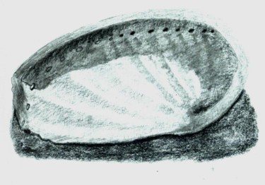 Malarstwo zatytułowany „Coquillage” autorstwa Cyrus, Oryginalna praca, Olej