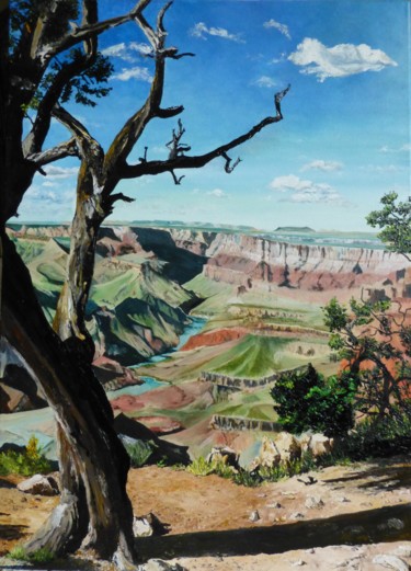 Painting titled "Le Grand Canyon (US…" by Daniele Baille Barrelle, Original Artwork, Oil