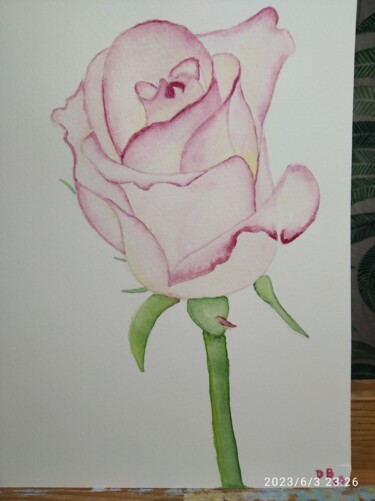 Painting titled "Une rose par amour" by D. Bouchard, Original Artwork, Watercolor