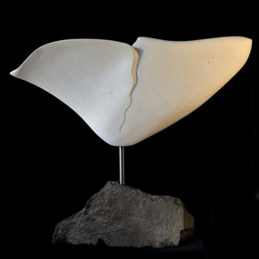 Escultura intitulada "La Grande Déchirure" por Denis Pugnere, Obras de arte originais, Pedra