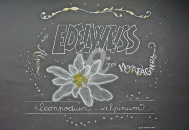 Dibujo titulada "Edelweiss de nos mo…" por R Da Ferrera, Obra de arte original, Tiza