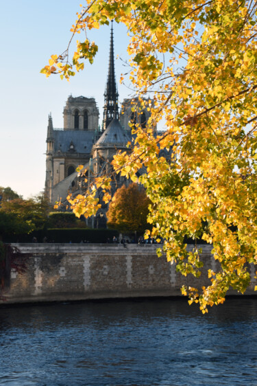 摄影 标题为“Notre Dame” 由Dacko Photography, 原创艺术品, 数码摄影