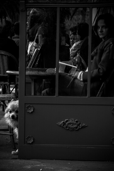 Photographie intitulée "Temps de chien" par Dacko Photography, Œuvre d'art originale, Photographie numérique