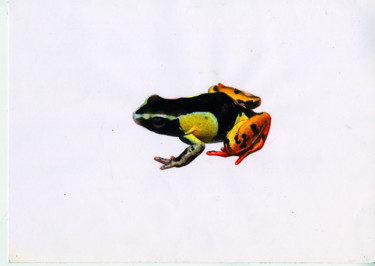 Peinture intitulée "Amphibien" par Errance, Œuvre d'art originale, Acrylique