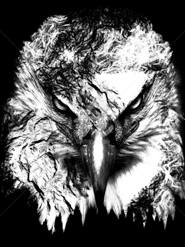 Digital Arts titled "Eagle black and whi…" by Dahuyn, Original Artwork, Digital Painting Mounted on artwork_cat.