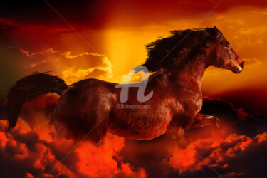 Artes digitais intitulada "Horse Running Above…" por Dahuyn, Obras de arte originais, Pintura digital