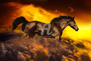 Digitale Kunst getiteld "Horse Running Above…" door Dahuyn, Origineel Kunstwerk, Digitaal Schilderwerk