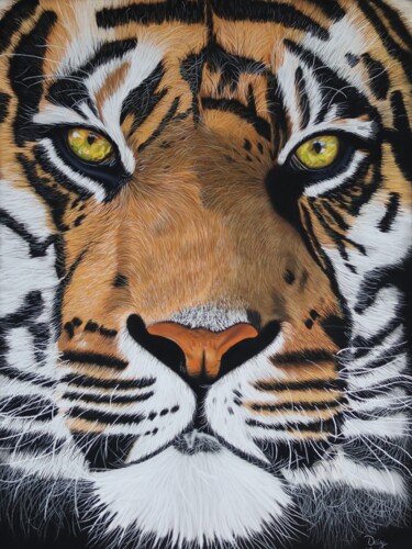 Desenho intitulada ""Focus" (Tiger pain…" por Daisy Van Der Zijden, Obras de arte originais, Pastel