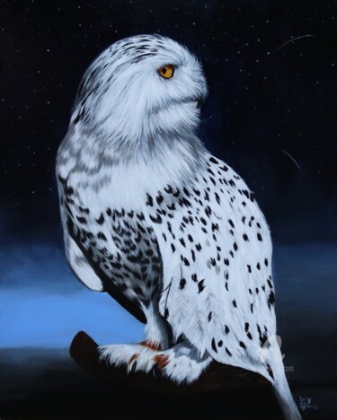 Malerei mit dem Titel "Hedwig Junior" von Daisy Van Der Zijden, Original-Kunstwerk, Acryl