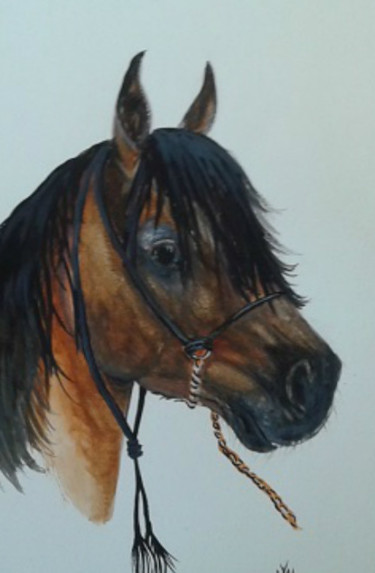 Peinture intitulée "Sultan" par Janike Castonguay, Œuvre d'art originale, Aquarelle