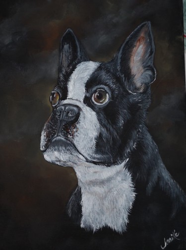 Painting titled "Le boston terrier" by Janike Castonguay, Original Artwork