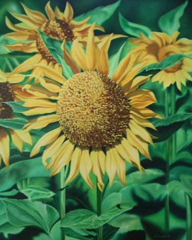 Painting titled "TOURNESOLS" by Alain Dambès, Original Artwork, Oil