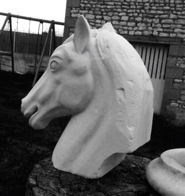 Скульптура под названием "Tête de cheval" - Damien Berger, Подлинное произведение искусства, Камень