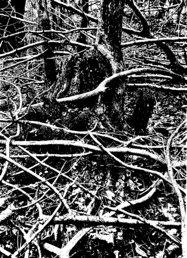 Dessin intitulée "Forest II" par Damir Kamenar, Œuvre d'art originale, Encre