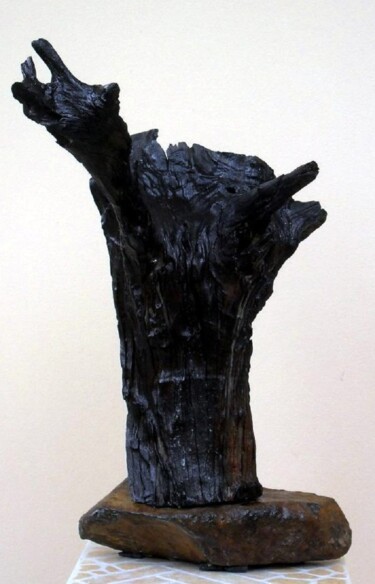 Sculpture titled "Power" by Dan Civa, Original Artwork, Wood