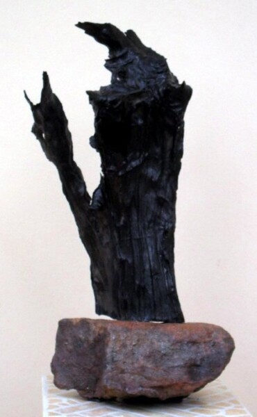 Sculpture intitulée "The lecturer" par Dan Civa, Œuvre d'art originale, Bois