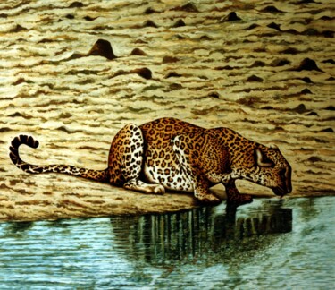 Malerei mit dem Titel "Leopard, drinking w…" von Dan Civa, Original-Kunstwerk, Öl