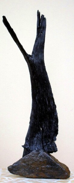 Скульптура под названием "Conductor" - Dan Civa, Подлинное произведение искусства, Дерево